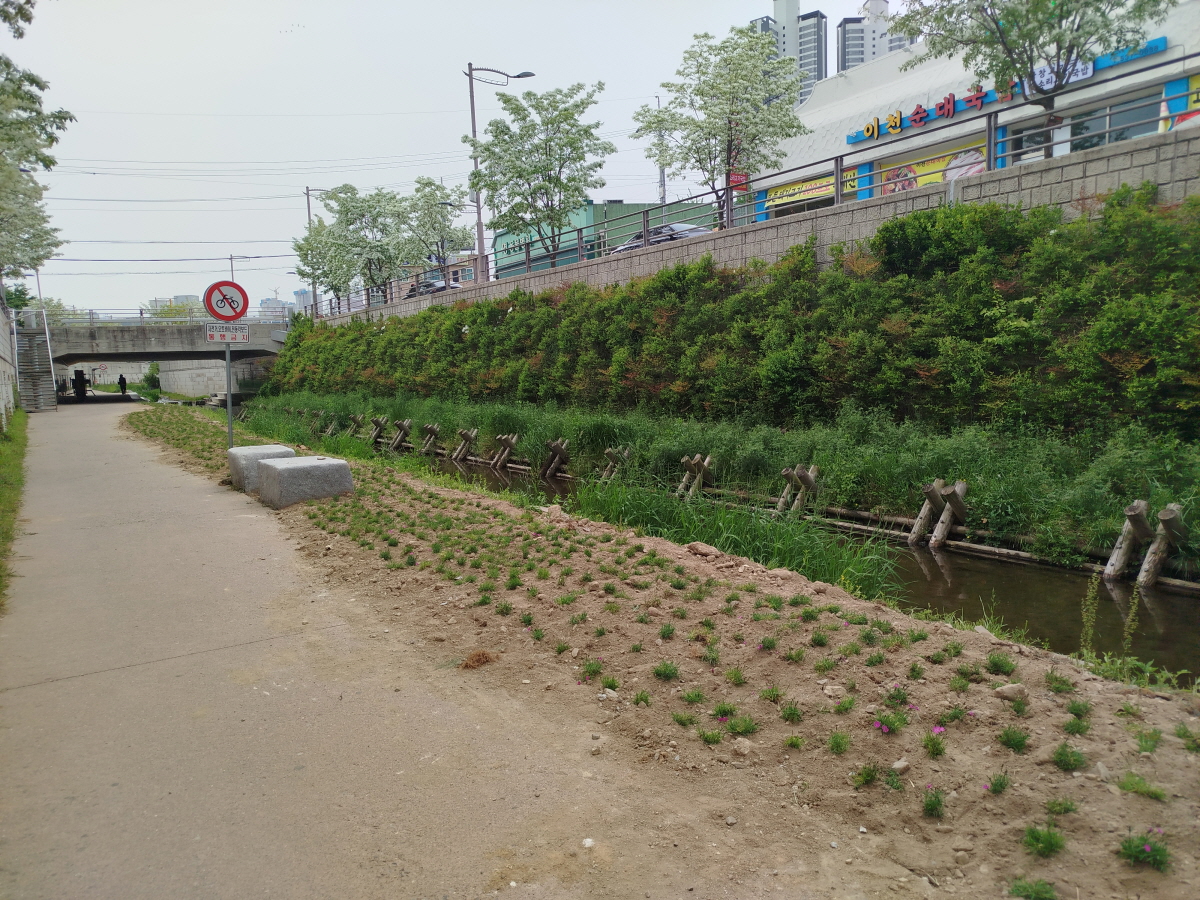 온양1동 주민자치회, ‘온천천 초화류 조성 사업’ 완료