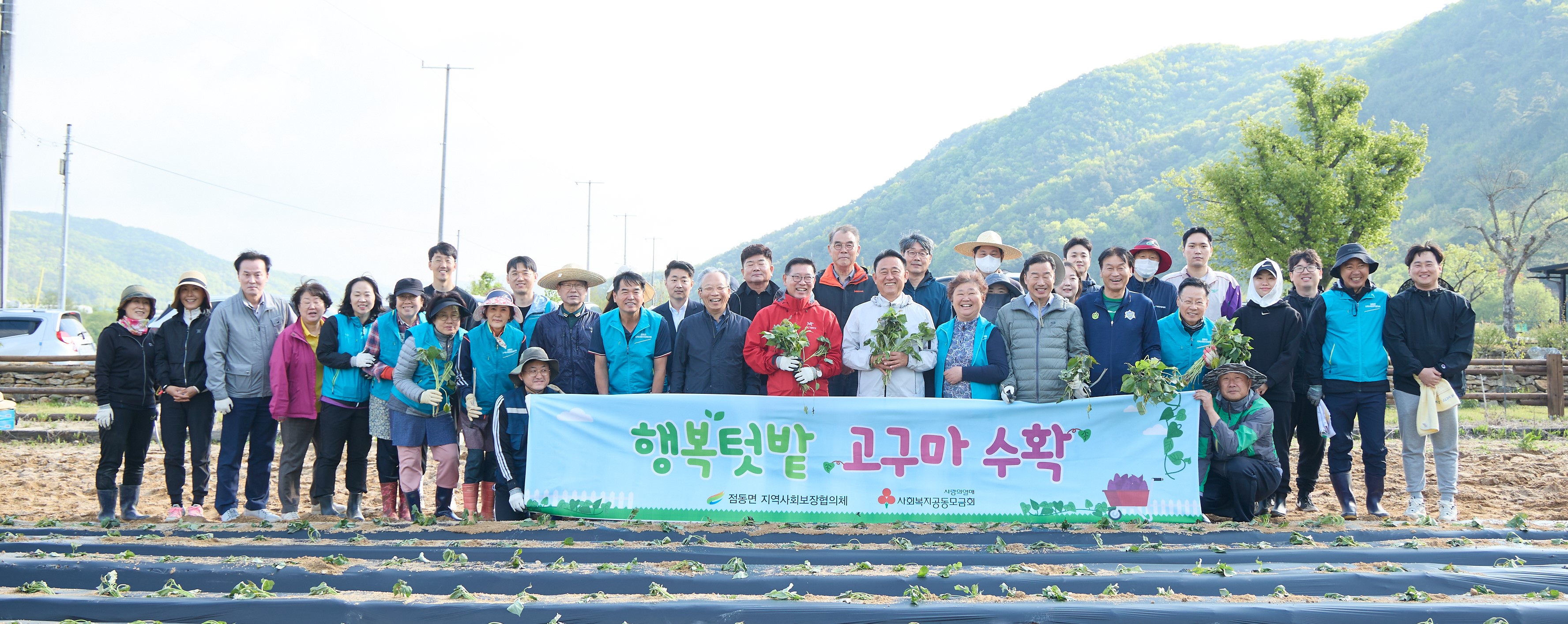 점동면지역사회보장협의체, 「행복텃밭, 고구마 수확 사업」 첫걸음 고구마 심기 행사 열려