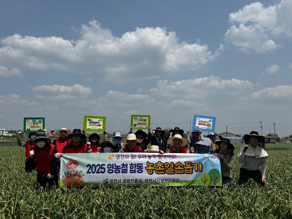 영천시 관광진흥과·영천시시설관리공단, 합동 농촌일손돕기 실시