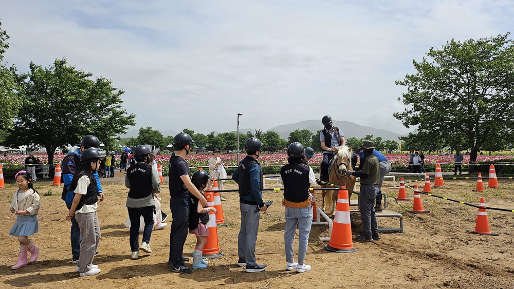 함안군 승마공원, 칠서 청보리·작약 축제 승마체험 행사 운영