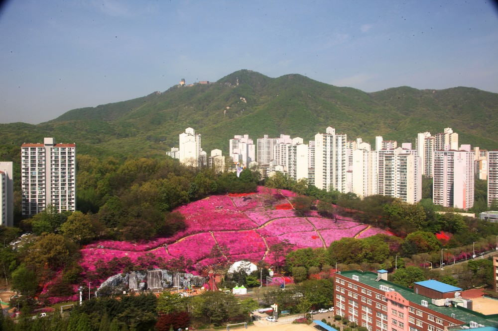 군포시 산본2동지역사회보장협의체 ‘꽃,식물 등 테라피사업’ 실시