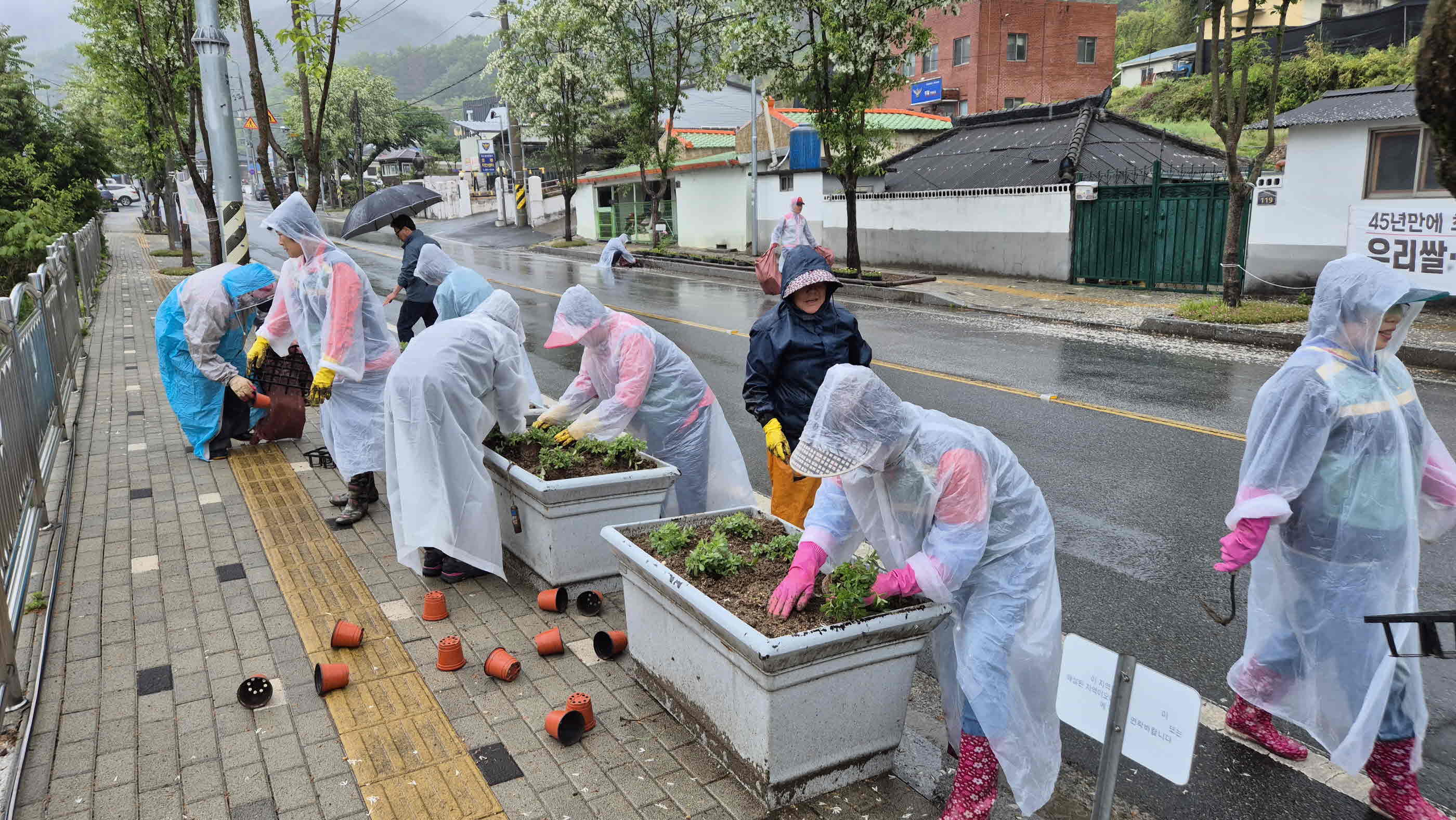 밀양시 초동면, 여름꽃 식재로 생기 넘치는 경관 조성