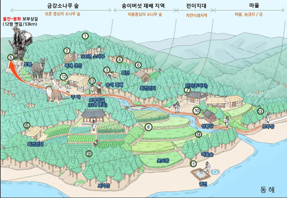 울진군,‘울진금강송 산지농업시스템’ FAO 세계중요농업유산 (GIAHS) 등재 추진