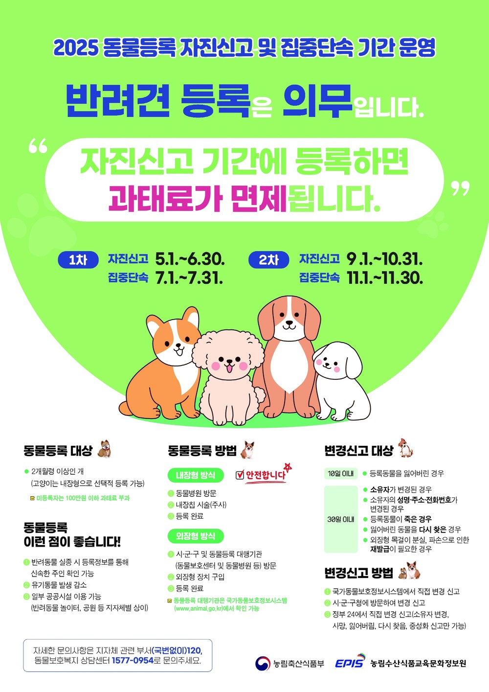 서울 강북구, 2025년 동물등록 자진신고 기간 운영