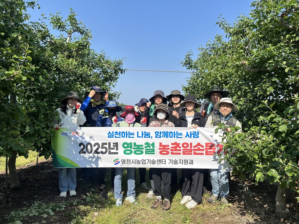영천시 기술지원과, 농촌일손돕기 구슬땀