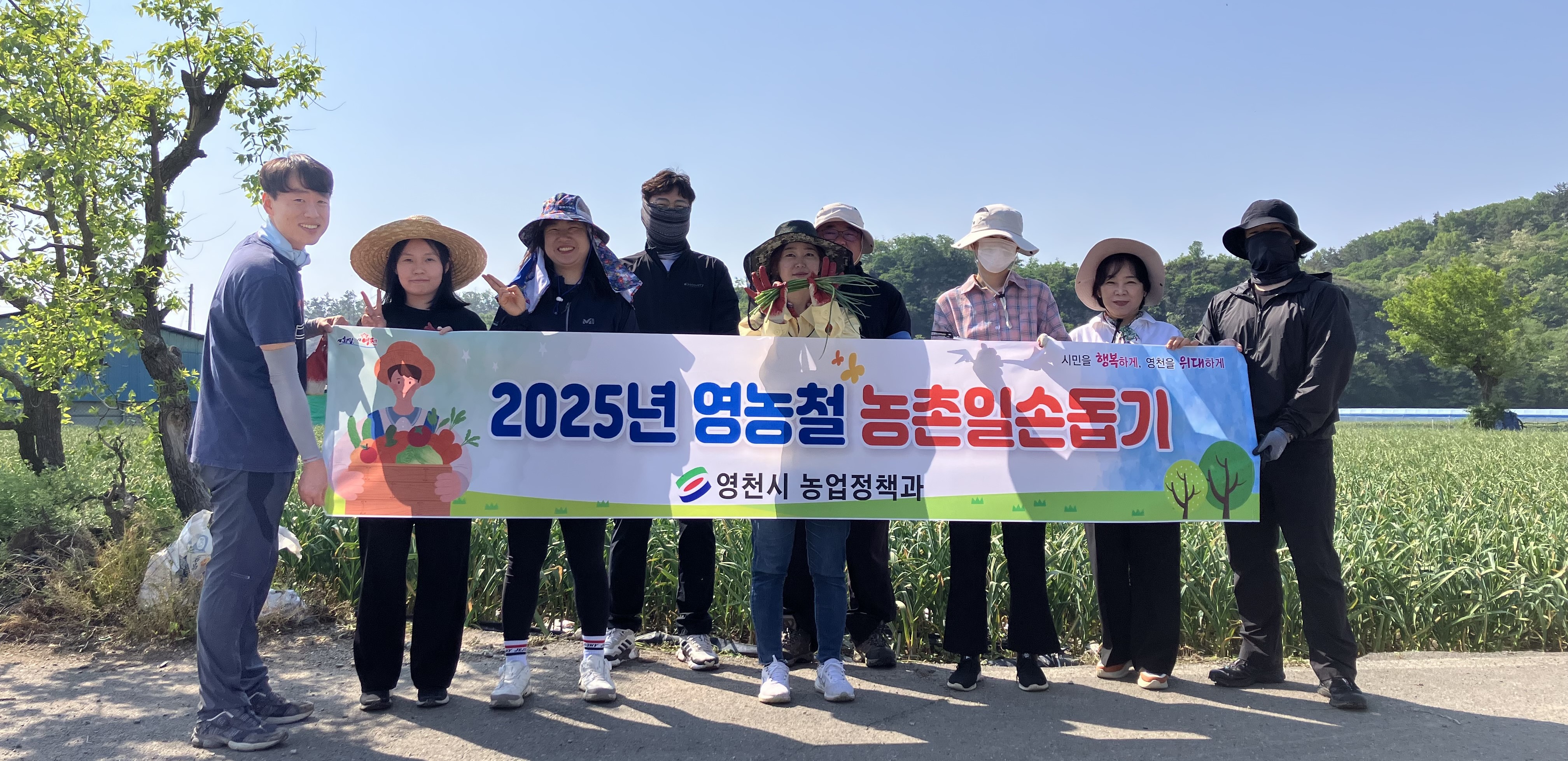 영천시 농업정책과, 화산면 마늘 농가에 일손 지원