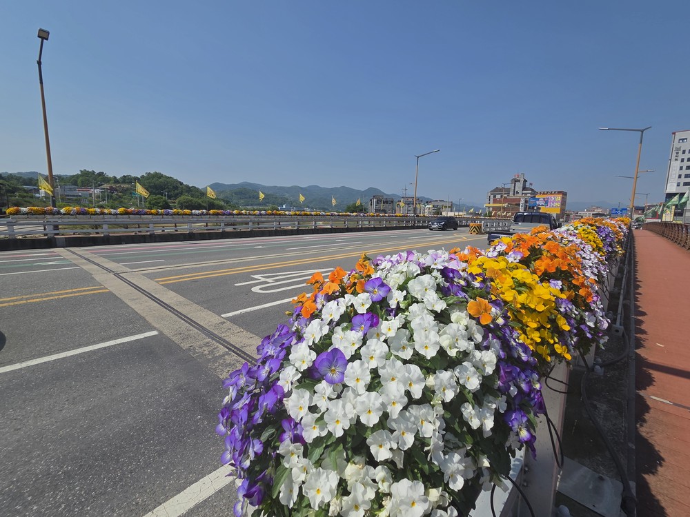 성주읍, 축제맞이 시가지 꽃길조성 완료
