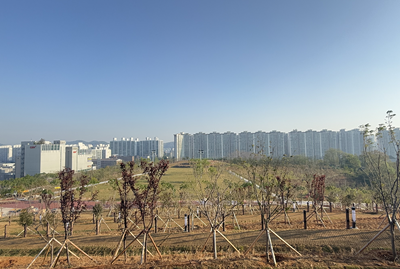 군산 기후대응도시숲 ‘새들허브숲’ 모습 드러낸다