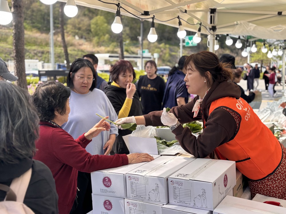 인제 산나물 판매 ‘불티’… 봄철 마케팅 성황리에 마무리