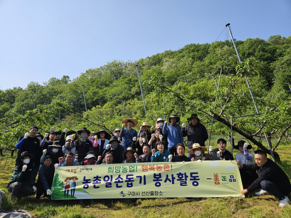 구미시 선산출장소, 복숭아 농가 일손돕기 구슬땀