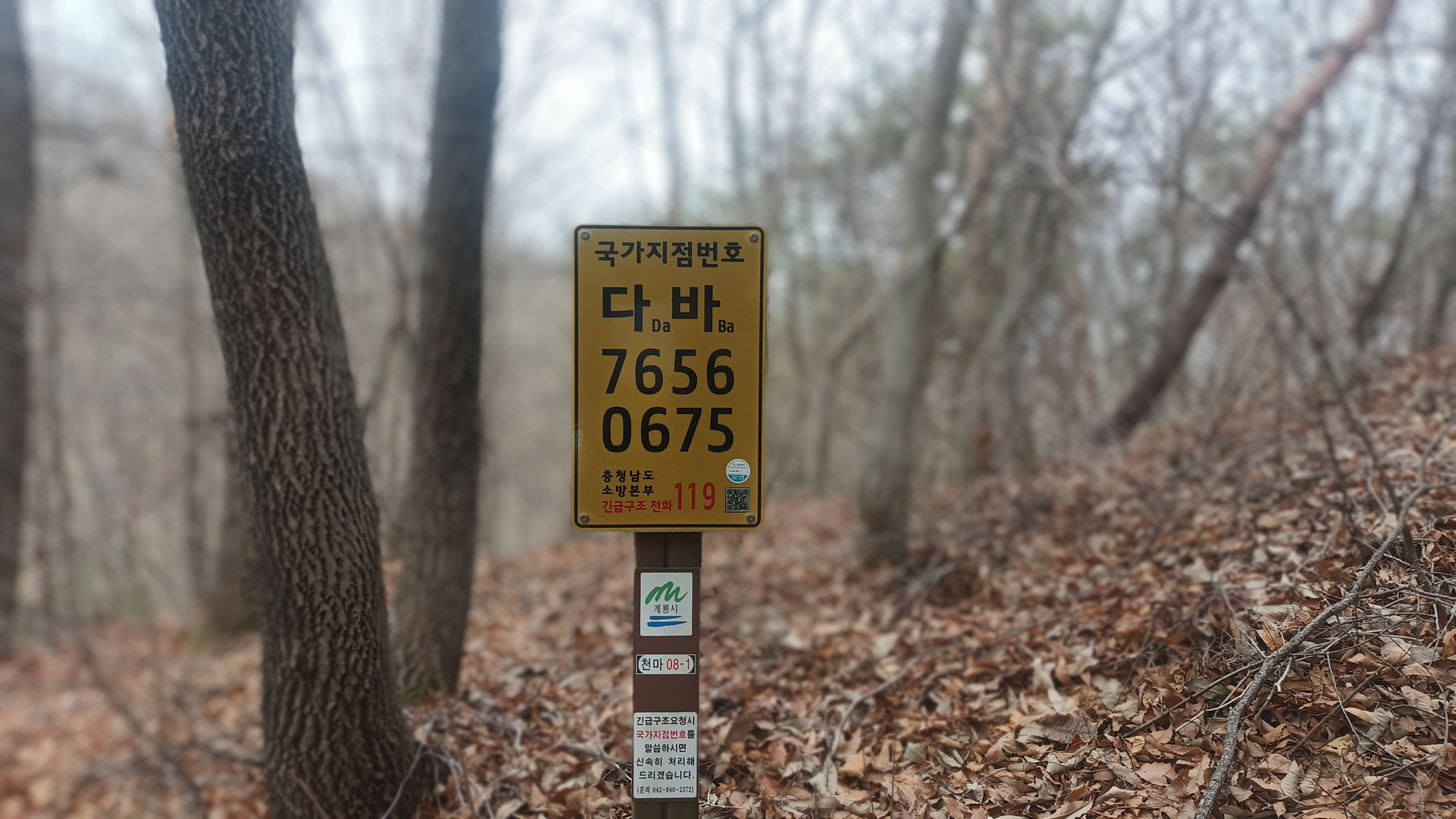 계룡시, 국가지점번호판 일제점검 나서