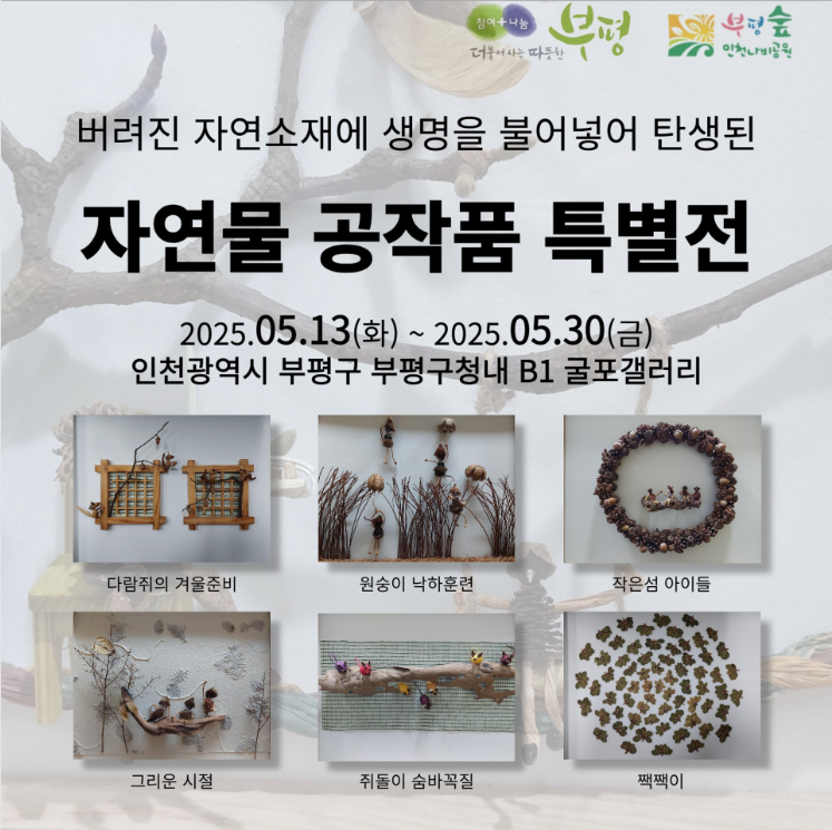 인천나비공원, 부평구청 굴포갤러리에서 특별전 개최