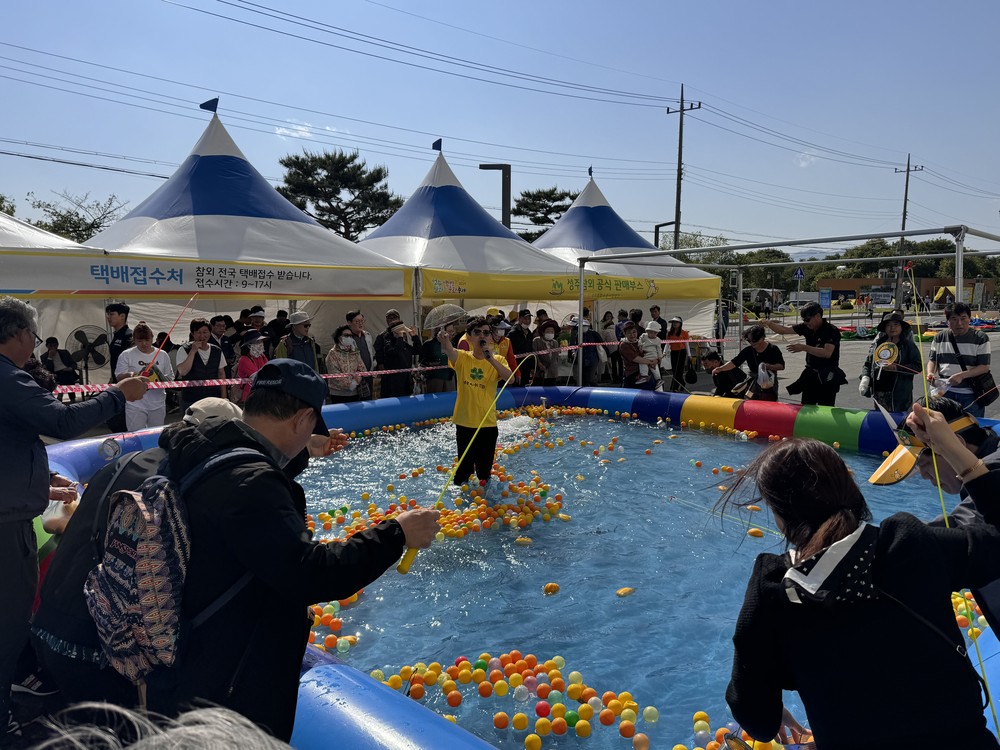 성주참외&생명문화축제 인기체험 ‘참외낚시’ 하러 오세요~