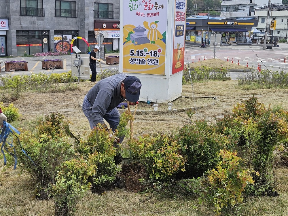 성주읍, 축제맞이 교차로 환경정비 및 도로변 화단정비