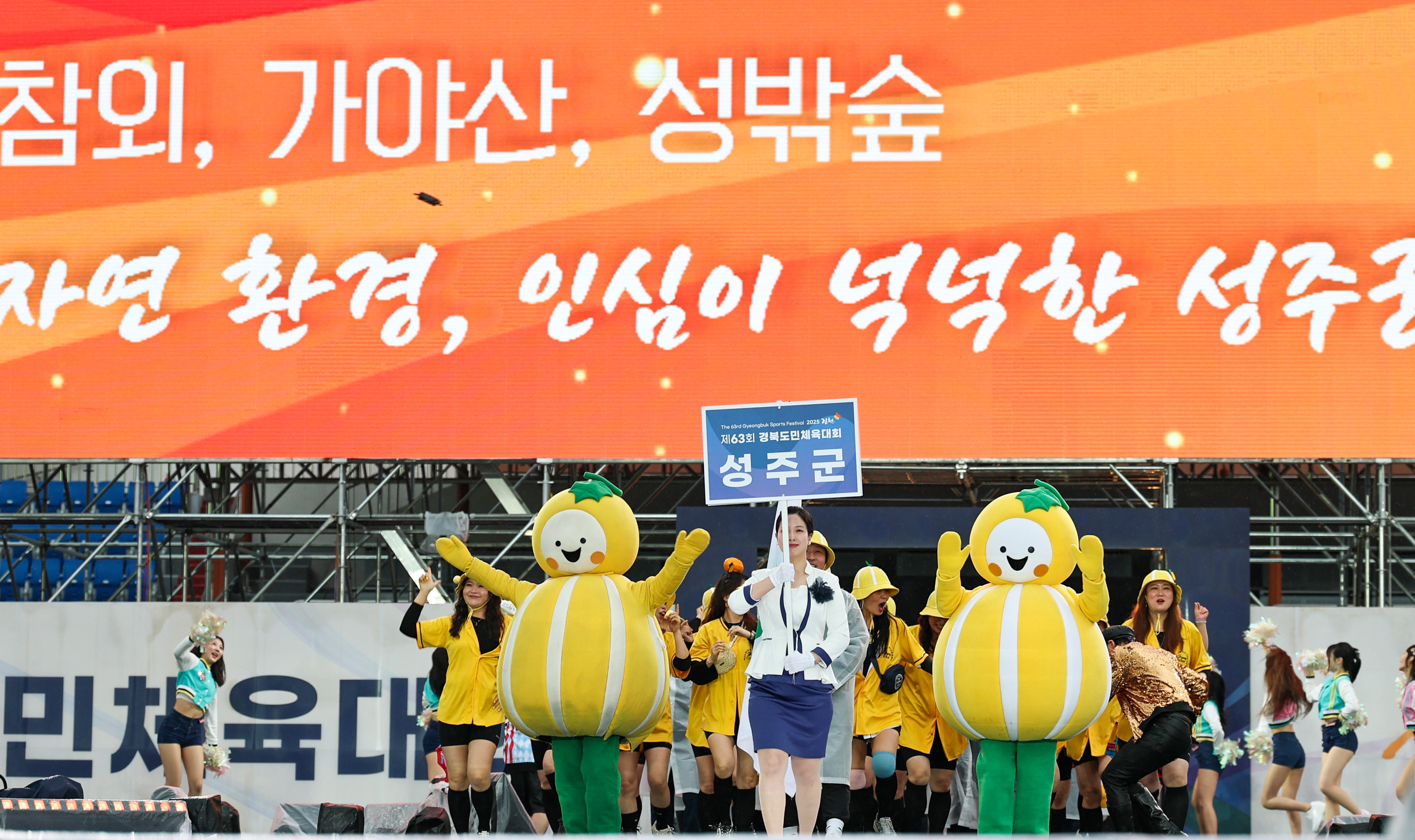 성주군 선수·임원단 모두 폭싹 속았수다 - 제63회 경북도민체육대회 군부 종합 5위 -