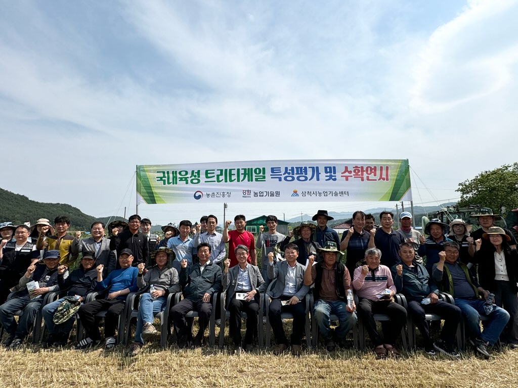삼척시, 국내육성 트리티케일 생육 특성 평가 및 수확 연시회 실시