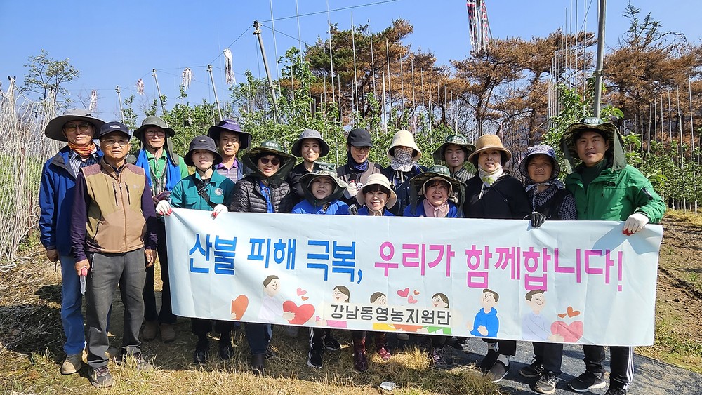 산불피해 극복, 우리가 함께합니다! 강남동 영농지원단, 길안면 찾아 영농봉사 실시