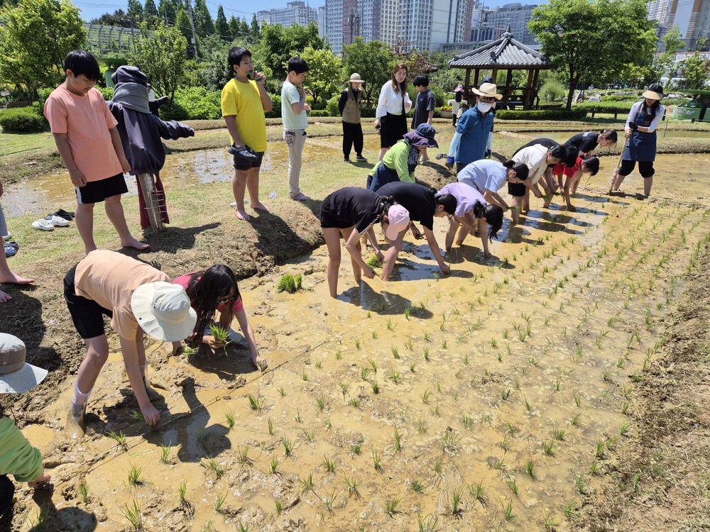 도시농업공원서 어린이농부의 쌀 여행 체험교육 열려