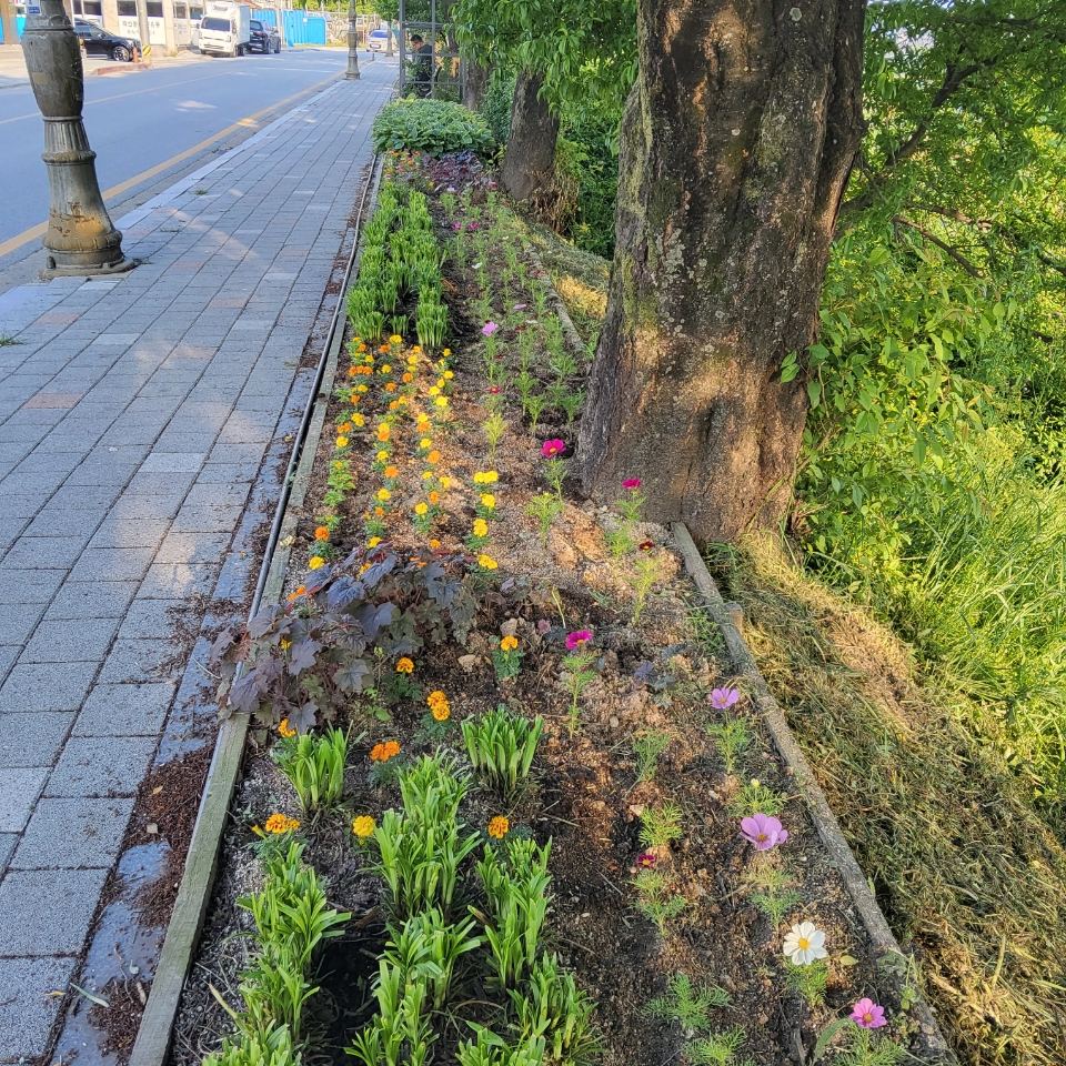 아름다운 소양천 시민정원 한국마스터가드너와 함께 꽃길조성
걷고 싶은 거리, 자연속에서 쉼을 얻다