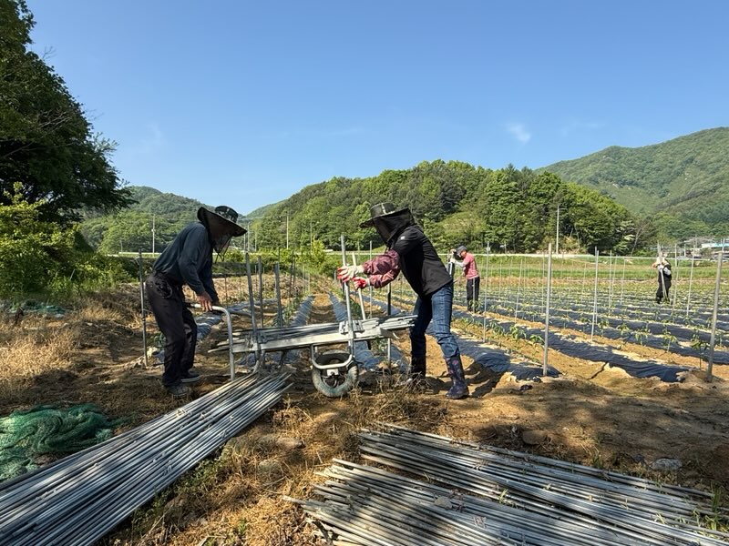 진안군 영농철 농촌일손돕기 총력 추진
공공기관·단체 연계로 인력중개 상황실 운영