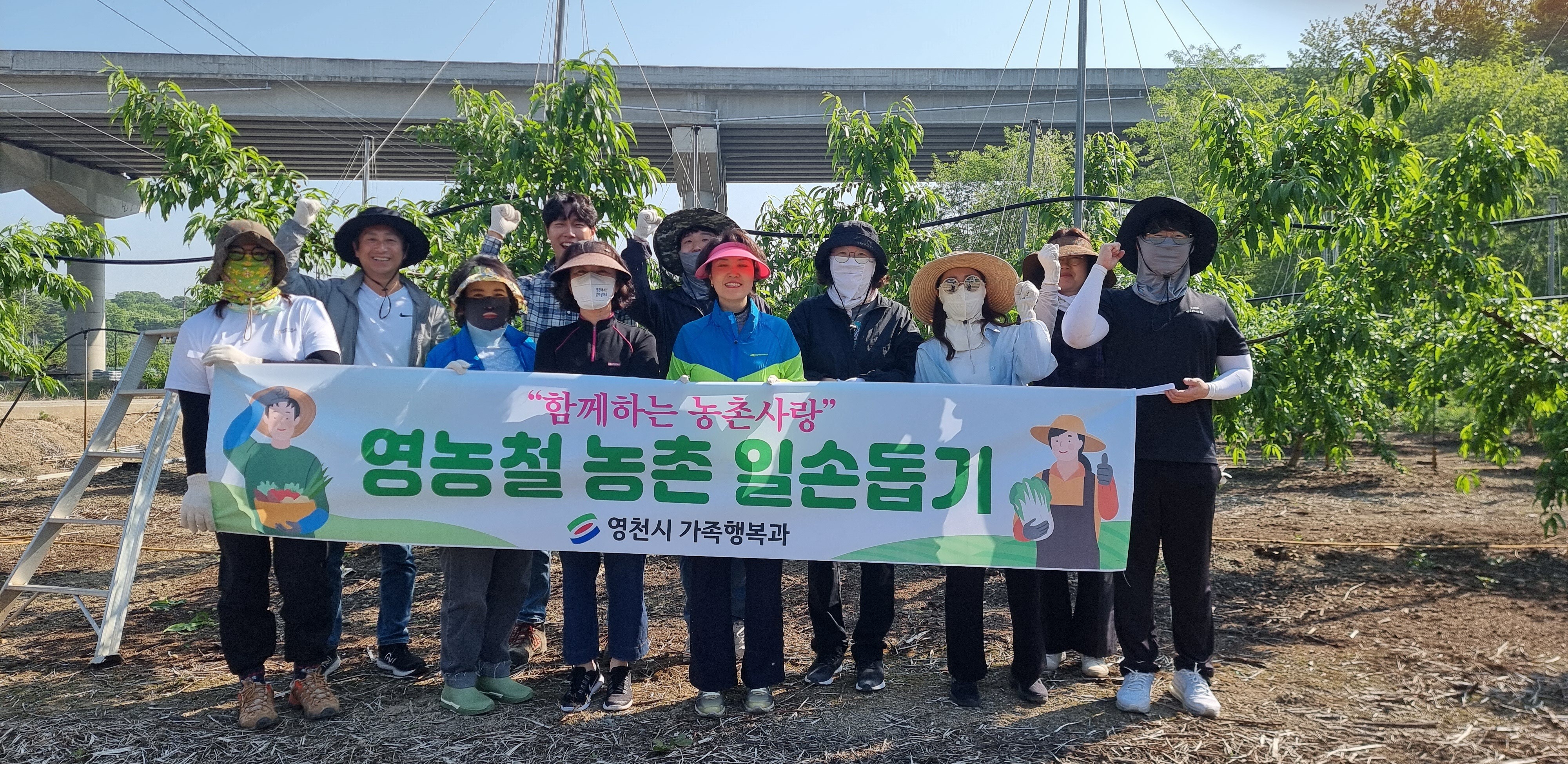 영천시 가족행복과, 봄철 농촌일손돕기 나서...복숭아·자두 적과 작업에 정성 더해