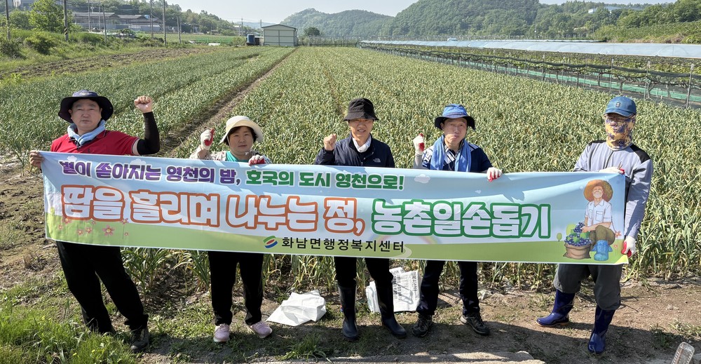 영천시 화남면, 농촌일손돕기 나서