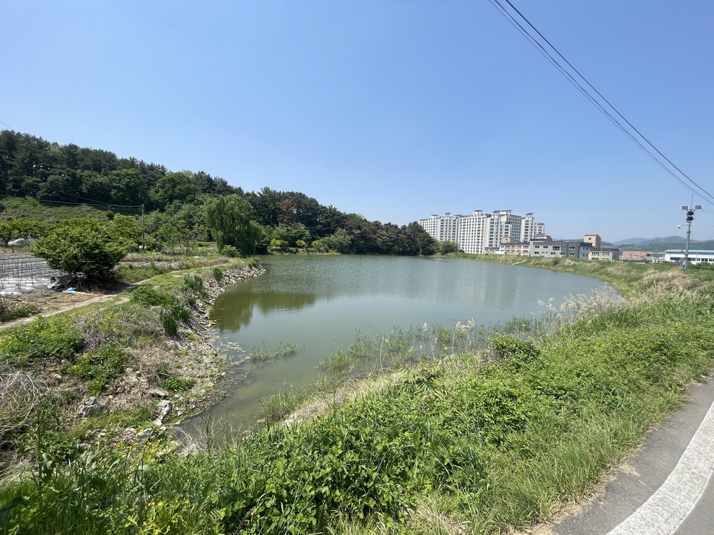 청도군, 2025년 맨발걷기길 조성 지원사업 공모 선정