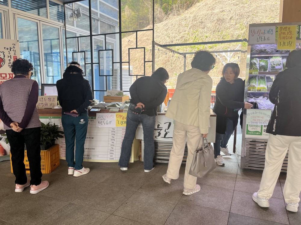 서울·양양고속도로 홍천휴게소 방문객에게 향긋한 산나물 판매로 큰 인기