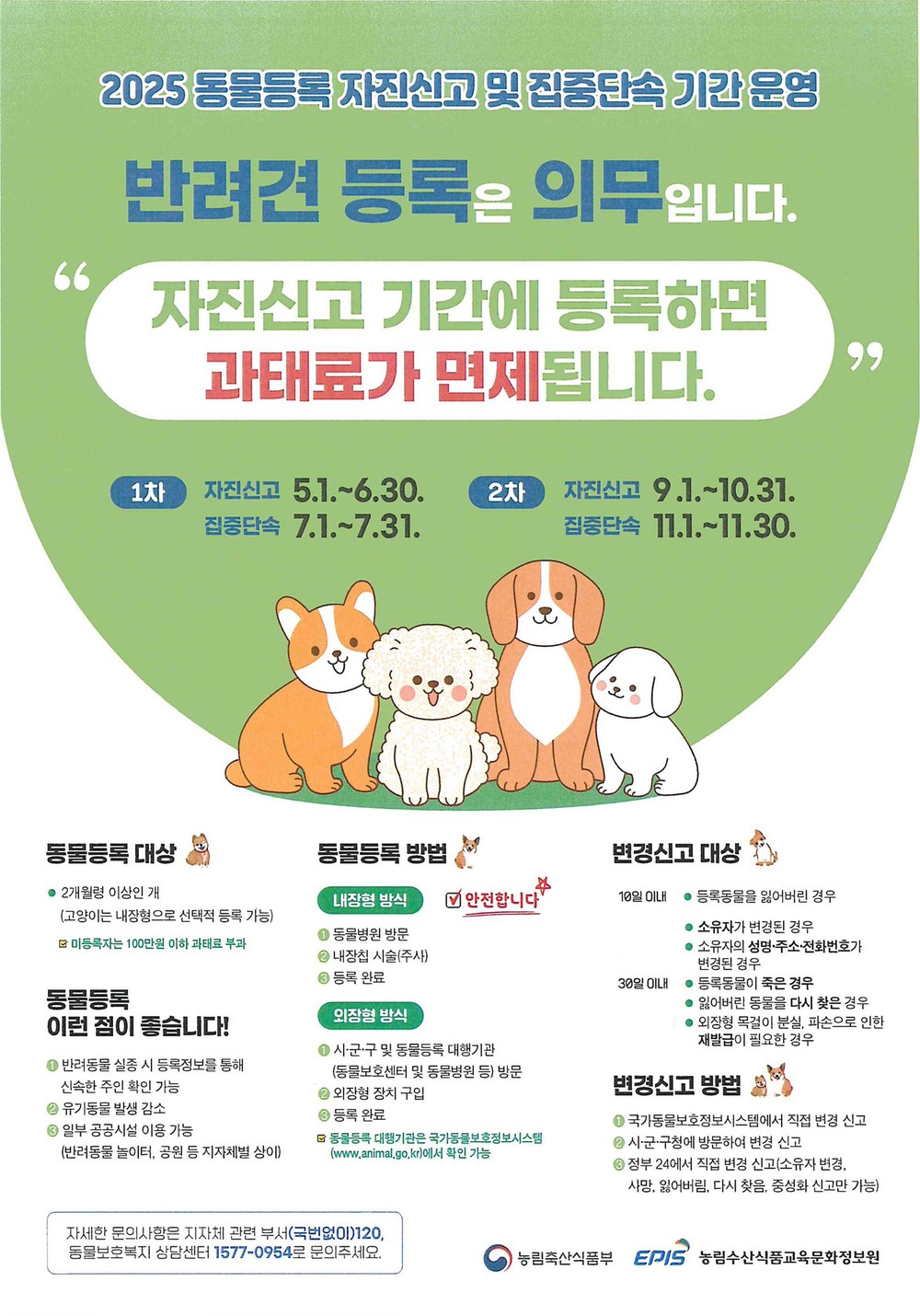 해운대구, 반려견 등록은 의무입니다
5~6월 자진신고 기간에 등록하면 과태료 면제