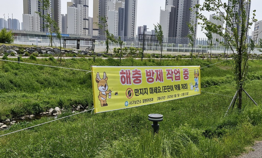 인천 서구, ‘끈끈이 현수막’으로 말라리아모기·해충 친환경 방제