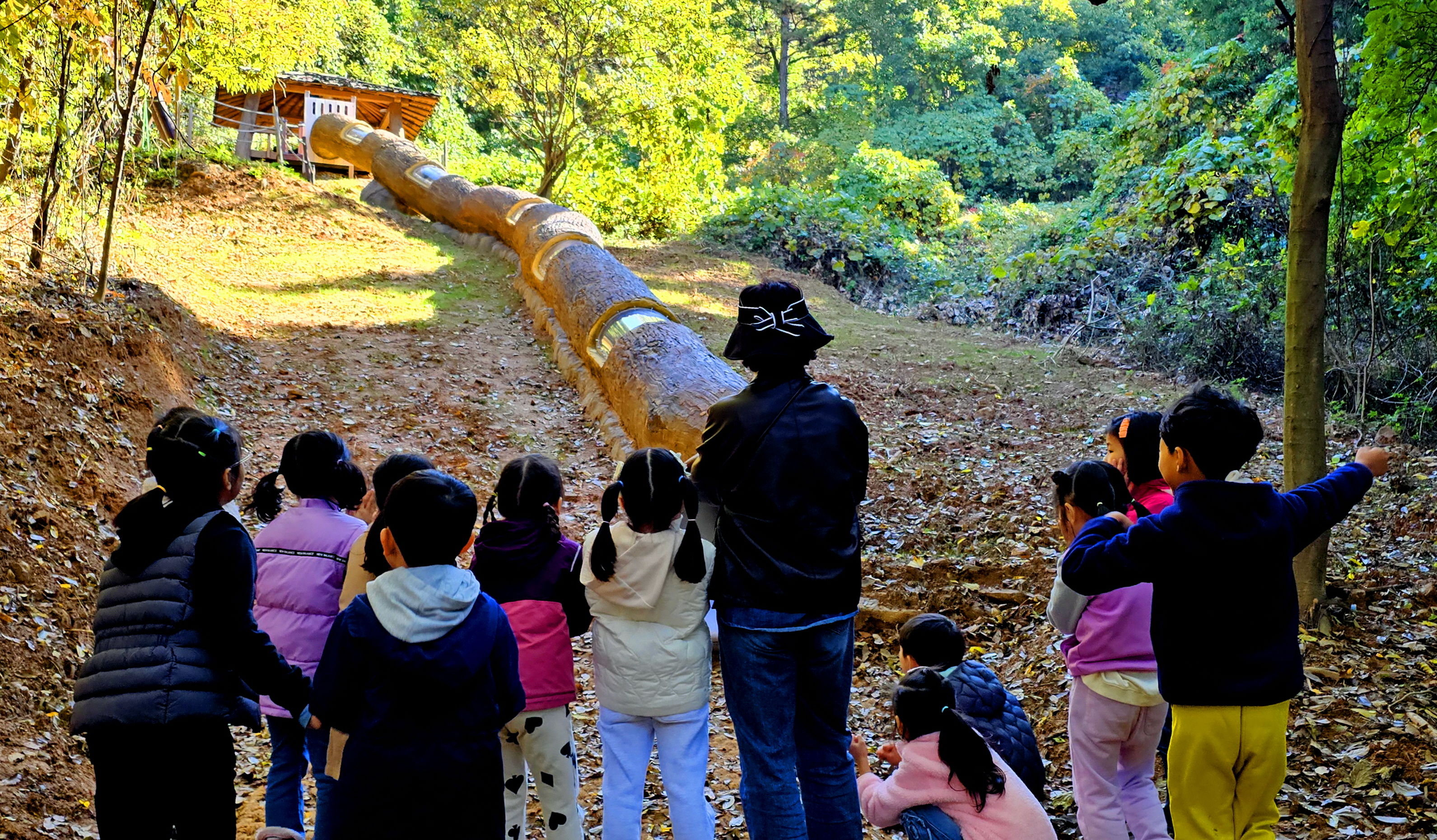 서구, 금당산 유아 숲 ‘생태 놀이터’ 인기 만점