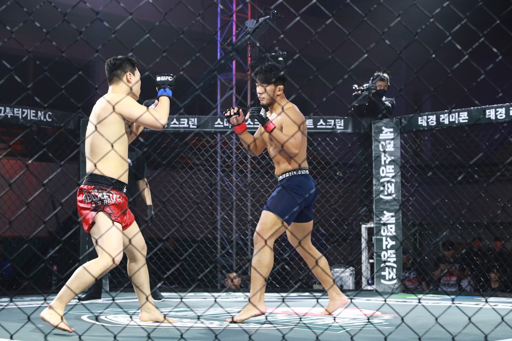 제4회 울진파이팅 챔피언십 종합격투기 대회 개최