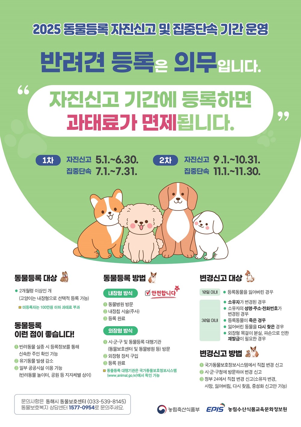 동해시, 동물등록 자진신고기간 운영