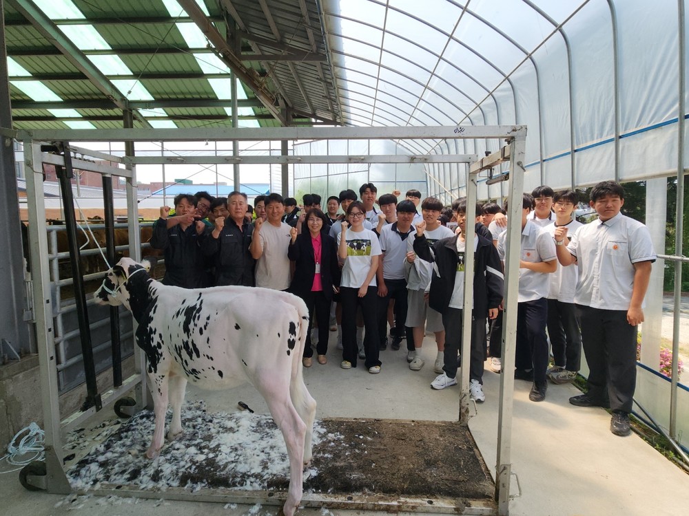 (사)한국낙농육우협회, 포천일고 학생 대상 젖소 관리 교육 실시