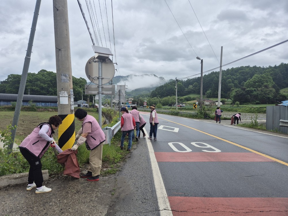 감물면 생활개선회, 도로변 환경정화활동 펼쳐