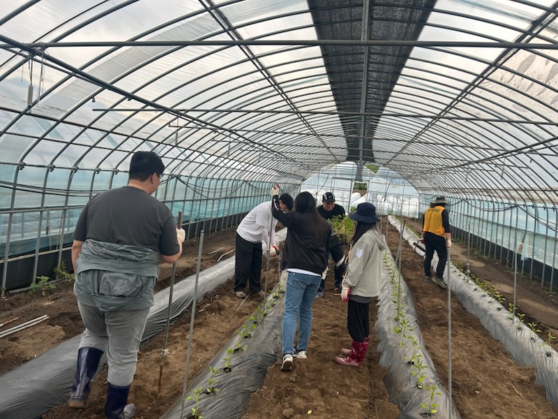 진안군 주천면, 농번기 부족한 일손돕기 추진