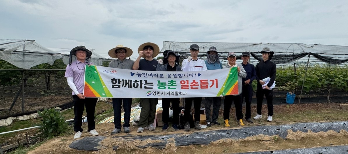 영천시 지역활력과, 농촌일손돕기 나서