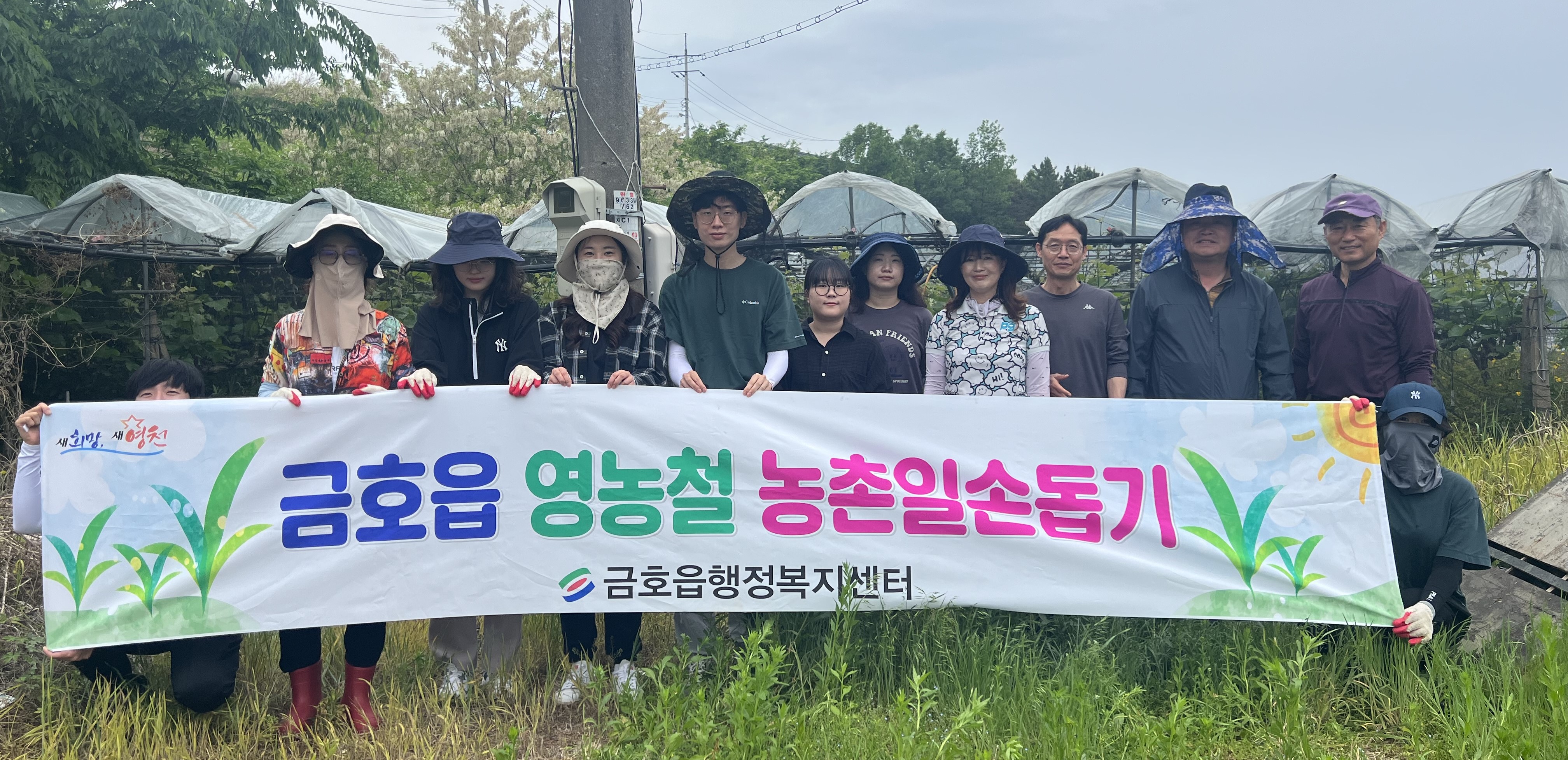 영천시 금호읍 직원들, 농촌일손돕기 실시
포도 순치기 작업에 구슬땀