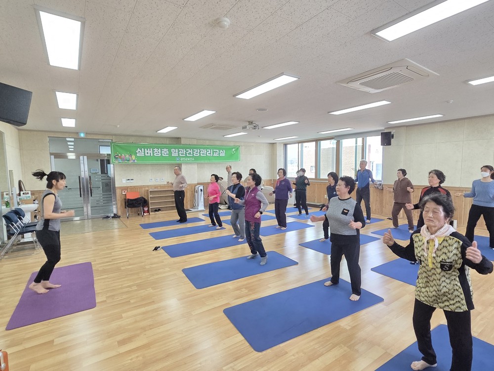 강진군, ‘제2기 실버청춘 혈관건강 관리교실’ 참여자 모집