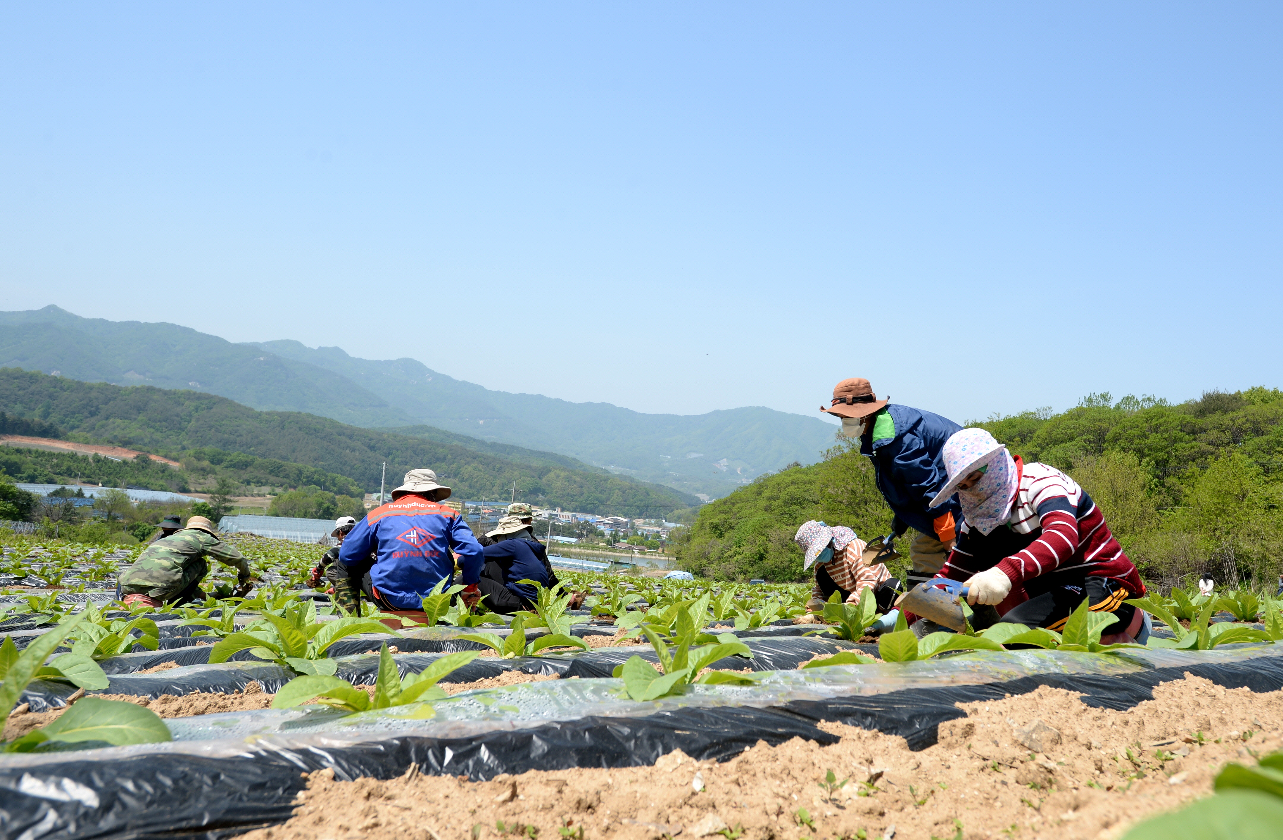 화천군 외국인 계절 근로자 확대, 고령화 농촌에 하반기 추가 공급
