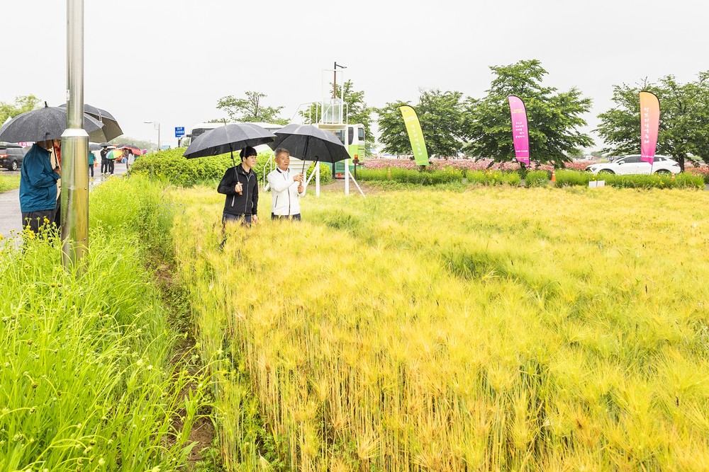 반려견과 함께 지키는 우리 동네, ‘계양킁킁순찰대’ 합동 순찰 실시