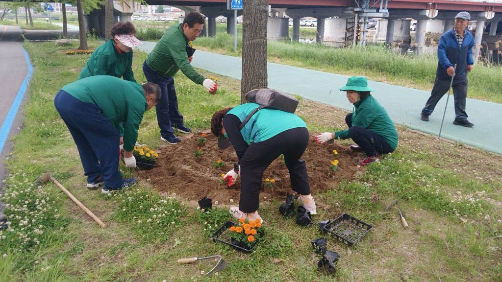 봉산동 새마을회, 봄맞이 원주천 꽃길 조성