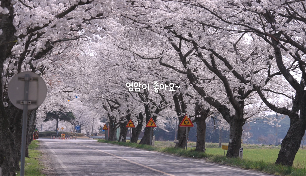 영암군, 생성형AI로 행정 혁신 속도