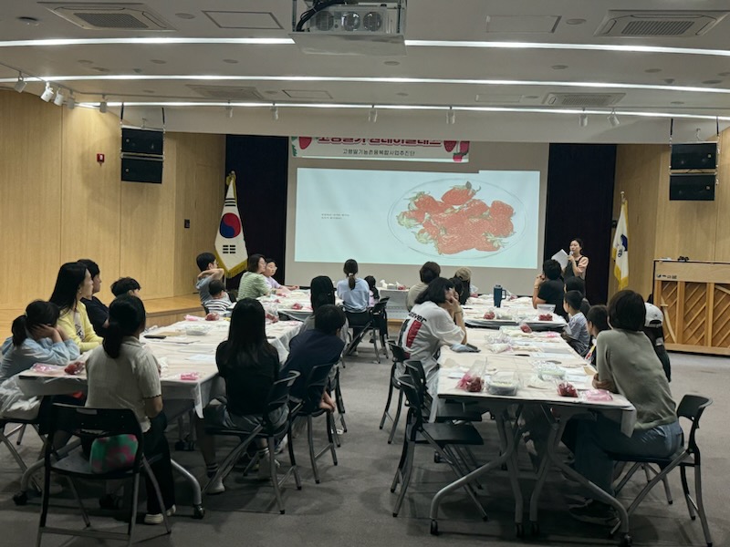 고령딸기와 책이 만난 하루, 다산도서관 가족체험클래스 성료