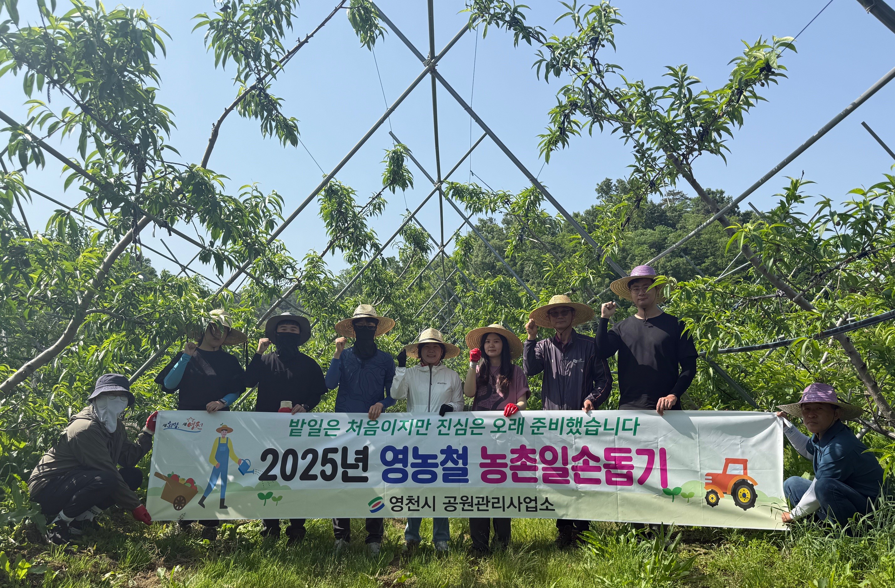 영천시 공원관리사업소, 영농철 농촌일손돕기 실시
밭일은 서툴러도, 마음만큼은 정성스럽게