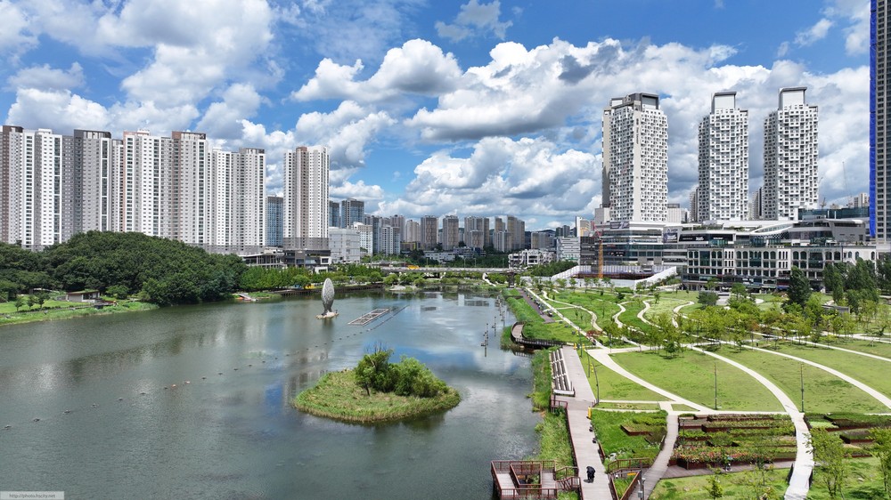 동탄호수공원 붕어 폐사, 산란기 스트레스·수온 변화 등 복합 원인
