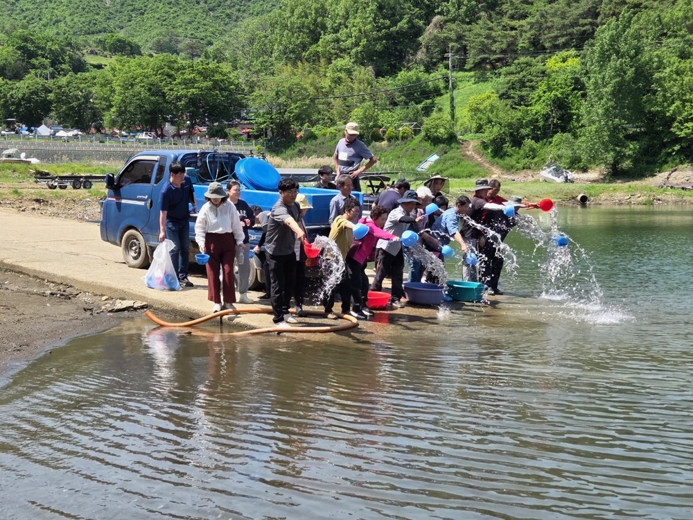 옥천군, 대청호 수산자원 조성을 위한 뱀장어 치어 방류 실시