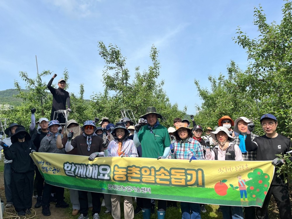 대구 군위군 농업기술센터, 농촌 일손돕기 실시