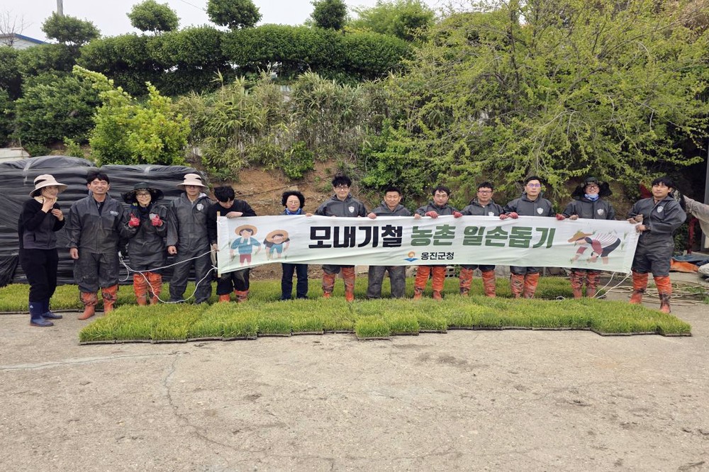 자월면 공무원들 승봉도 농가 일손 돕기 나서
