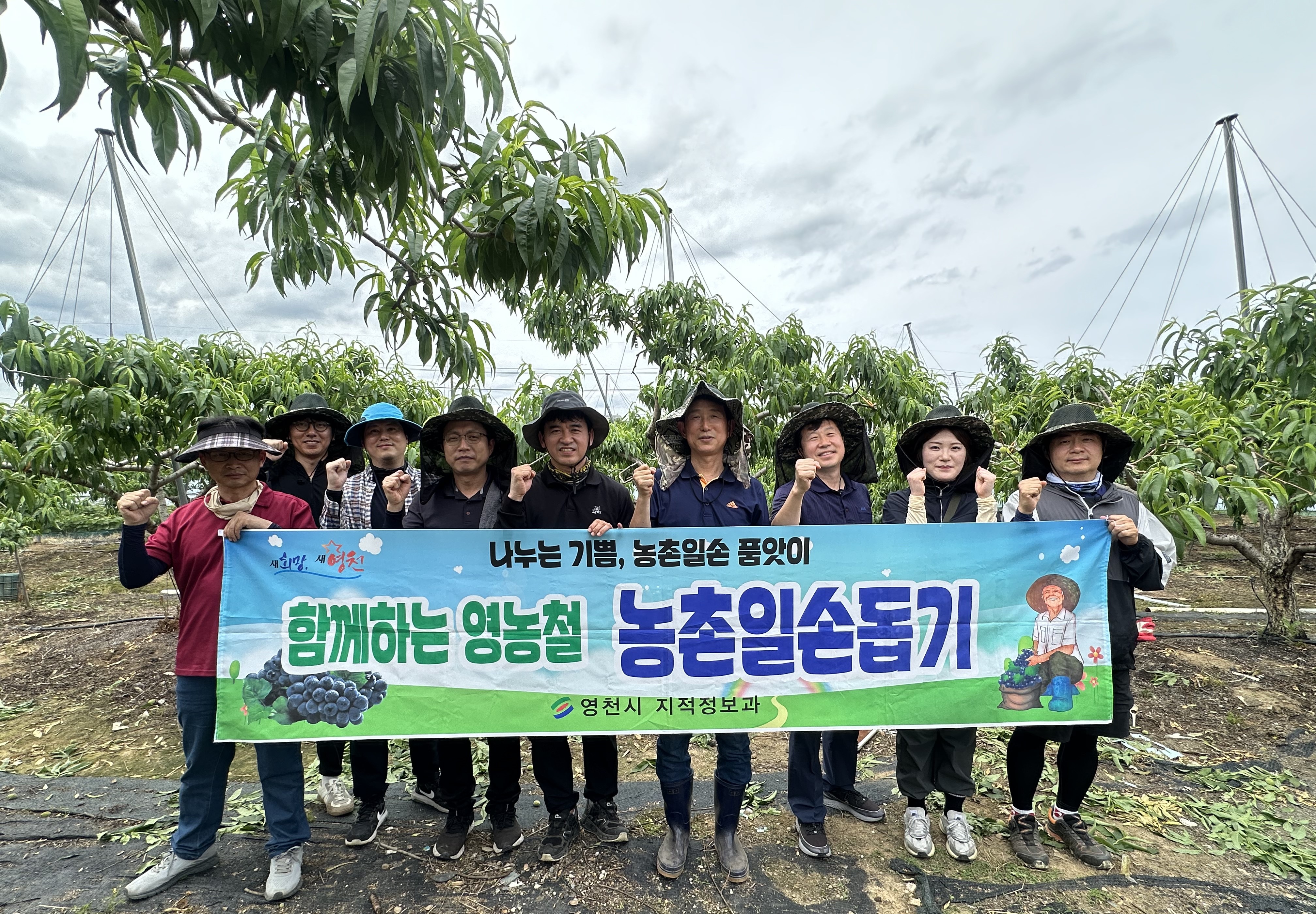 영천시 지적정보과, 농촌일손돕기에 두 팔 걷어붙여
